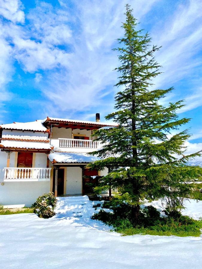 Villa Vasiliki Paliouras Exterior foto