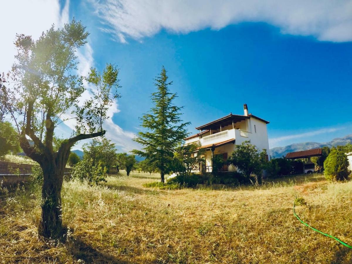 Villa Vasiliki Paliouras Exterior foto