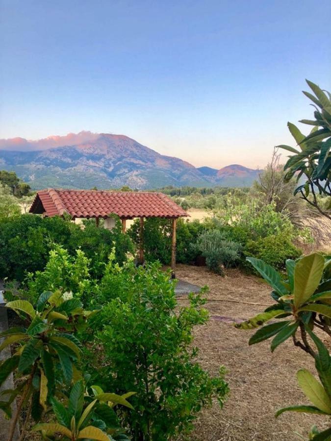 Villa Vasiliki Paliouras Exterior foto